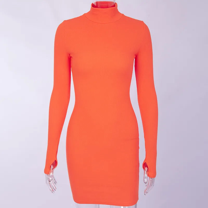 Autumn Turtleneck Long Sleeve Mini Dress