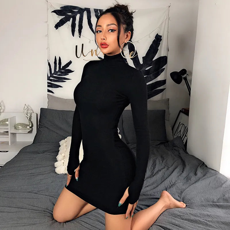 Autumn Turtleneck Long Sleeve Mini Dress