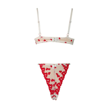 Two Piece Naughty Heart Embroidered Mesh Set